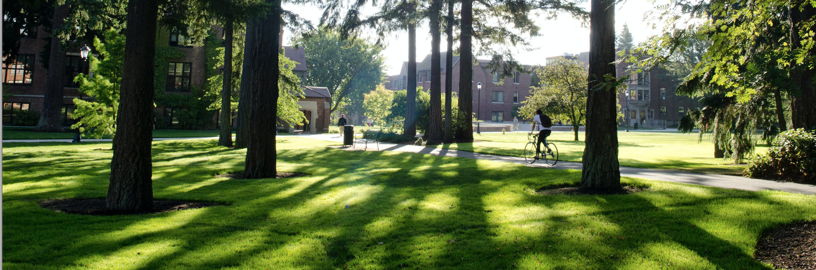 2019 20 Donors from the Class of 2000 09 University of Puget Sound